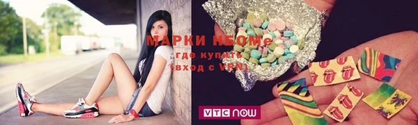хмурый Алзамай