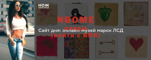 хмурый Алзамай