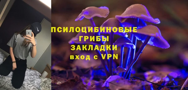 винт Алексеевка