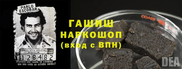 хмурый Алзамай
