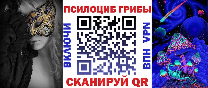 где можно купить наркотик  Лесосибирск  МЕГА ONION  Псилоцибиновые грибы Psilocybe 