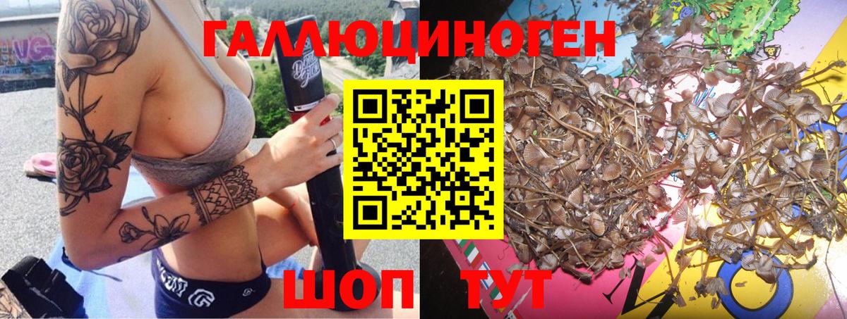 Псилоцибиновые грибы мухоморы Лесосибирск
