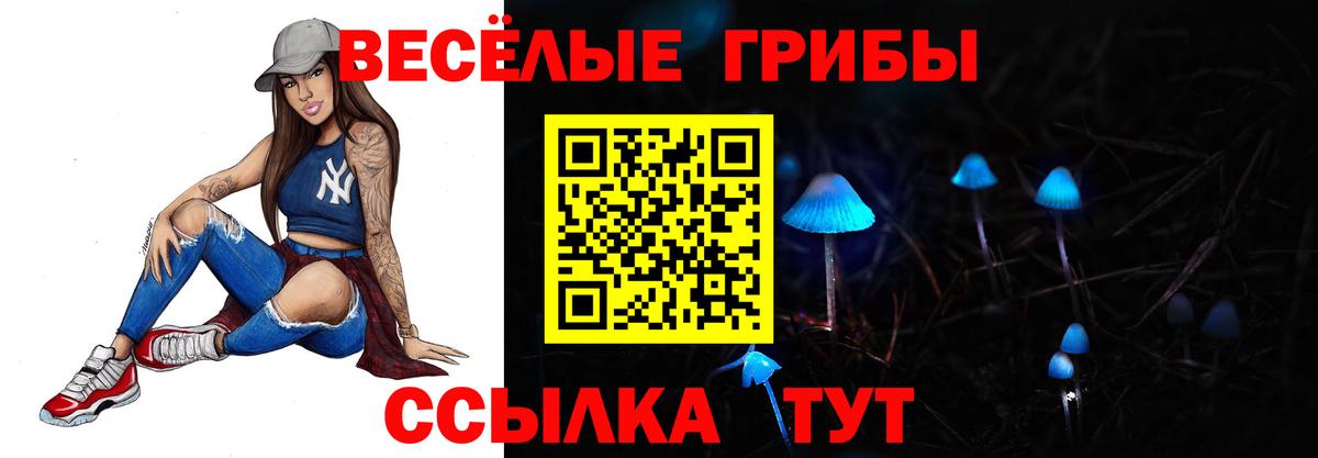 Лесосибирск  Псилоцибиновые грибы мухоморы  Вход с VPN 